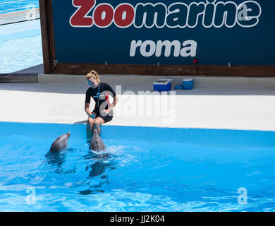 Torvaianica, Italy - june 24, 2013: Clear water with amazing dolphins show Algarve Water Theme Park Dolphinarium, Oceans of Fun. Zoomarine is a water  Stock Photo