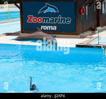 Torvaianica, Italy - june 24, 2013: Clear water with amazing dolphins show Algarve Water Theme Park Dolphinarium, Oceans of Fun. Zoomarine is a water  Stock Photo