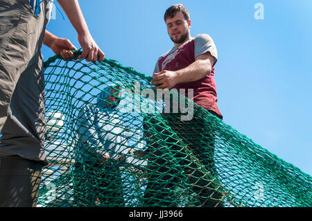 Killybegs, County Donegal, Ireland weather. 17th July 2017. Fishermen take advantage of the hot weather to repair nets in Ireland's premier fishing port. Credit: Richard Wayman/Alamy Live News Stock Photo