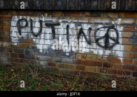 Berlin, Germany. 21st Nov, 2016. Graffiti on a wall with the word 'Putin' next to the logo of the Campaign for Nuclear Disarmament (CND) on Prenzlauer Allee in the Berlin district of Prenzlauer Berg. Taken 21.11.2016. The CND was at the head of the pacifist movement in Great Britain and claims to be Europe's largest pacifist-only movement. - NO WIRE SERVICE - Photo: Sascha Steinach/dpa-Zentralbild/dpa | usage worldwide/dpa/Alamy Live News Stock Photo