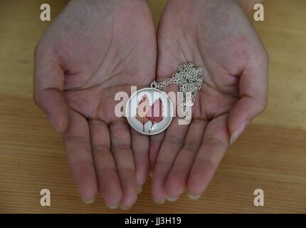 Hangzhou, Hangzhou, China. 18th July, 2017. Hangzhou, CHINA-July 18 2017: (EDITORIAL USE ONLY. CHINA OUT).Lin Junyan makes creative and exquisite artworks with flowers, branches and other plants in Hangzhou, east China's Hangzhou. Credit: SIPA Asia/ZUMA Wire/Alamy Live News Stock Photo