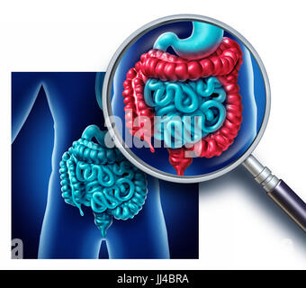 Colon and large bowel pain and intestine Illustration as a digestive system organ and digestion body part inflammation concept with rectum. Stock Photo