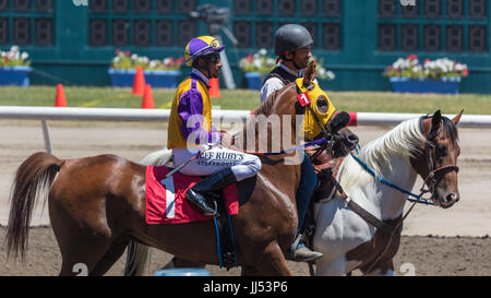 Horse racing action at the Cal Expo in Sacramento, California Stock Photo - Alamy