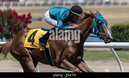 Horse racing action at the Cal Expo in Sacramento, California Stock Photo - Alamy