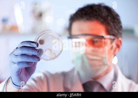Life science researcher observing cells in petri dish. Stock Photo