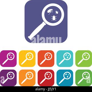 Magnifier and insects icons set vector illustration in flat style In colors red, blue, green and other Stock Vector