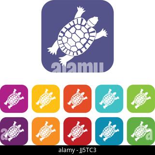 Turtle icons set Stock Vector