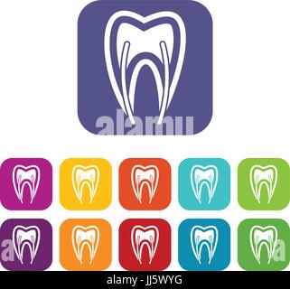 Tooth cross section icons set Stock Vector Image & Art - Alamy