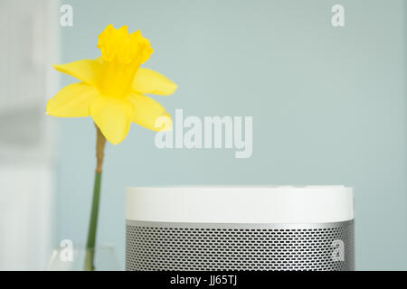 Wireless speaker with a yellow daffodil against a light blue wall. Stock Photo