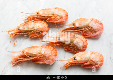 Beautiful fresh shrimps on a light marble background. Stock Photo