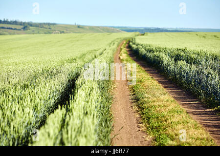 Driving on an empty dirt road through the cultivated fields towards the setting sun. Stock Photo