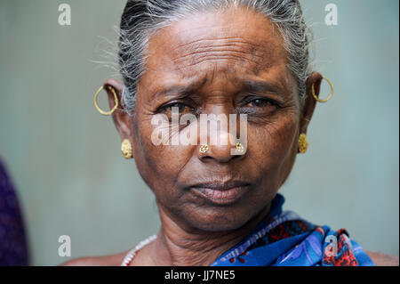 INDIA Chhattisgarh, Bastar, portraiture of old tribal Gond woman with golden nose and ear rings , Gondh is an indian tribe, indian tribal people also called Adivasi Stock Photo