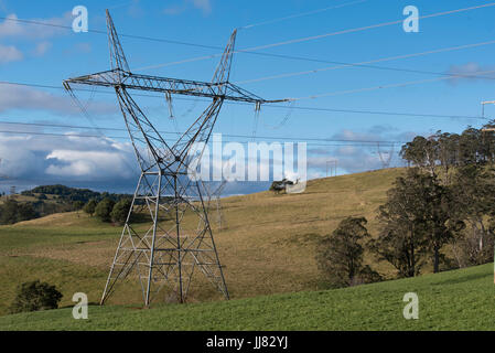 High tension electricity power lines and poles stretching through rural paddocks Stock Photo