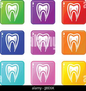 Tooth cross section icons set Stock Vector Image & Art - Alamy