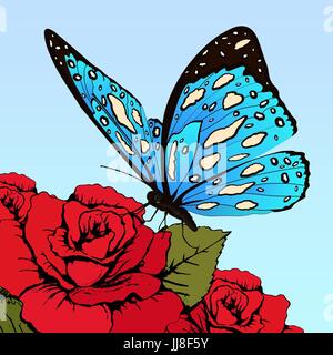 Butterfly with blue spotted wings on flowers of red roses on a blue sky background, vector banner, card, poster Stock Vector