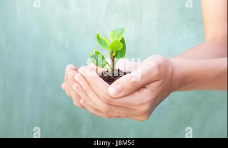 Plant in hands, take care of life Stock Photo