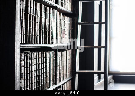 Sliding ladder in the long room library in Trinity College, Dublin Ireland. Book of Kells Stock Photo