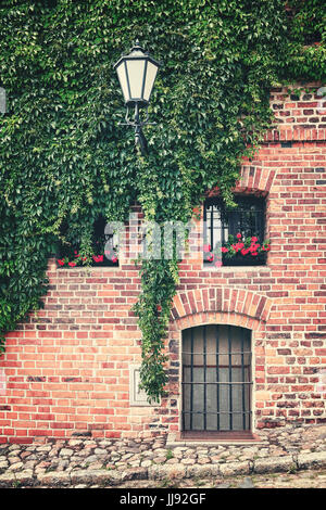 Vine and ivy growing on an old building brick wall, color toning applied. Stock Photo