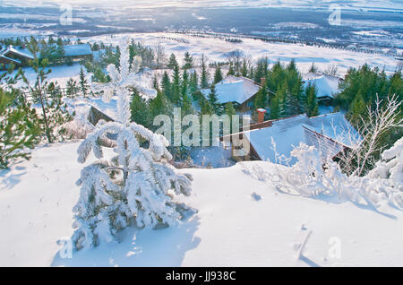 view of skiing resort village from hill top with small frost covered fir tree at foreground on sunny day Stock Photo