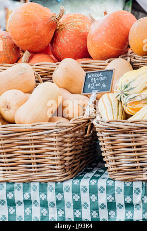 Fall pumpkins, squash, and gourds on a green checkered tablecloth at the Farmer's Market Stock Photo