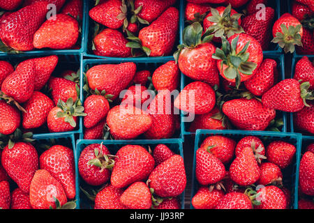 Summer Farmer's Market Strawberries Stock Photo