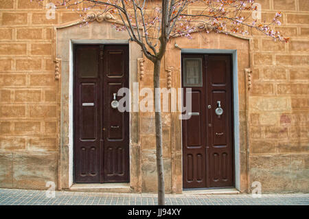 two brown wooden doors with blooming tree on spring day in barcelona, Spain Stock Photo