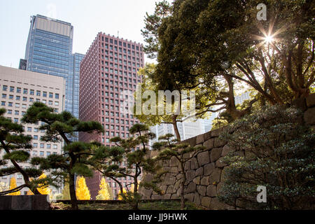 The sun peeks through the trees at Wadakura Fountain Park, with Tokyo's Financial District in the background Stock Photo