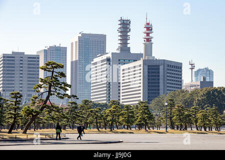 Peope walk through a park of pine trees on Uchibori Dori Road, Tokyo with the Police Department and other governement buildings in the background Stock Photo