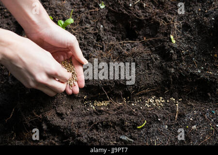 Hand of woman sowing seeds in soil at garden Stock Photo