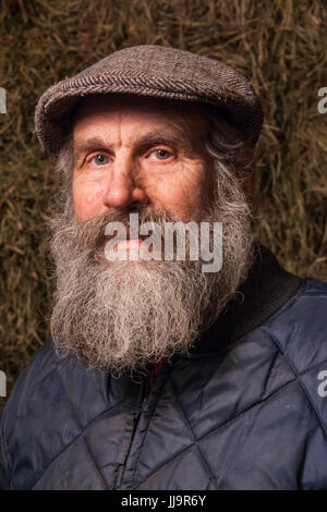 A head shot portrait of a farmer with a full salt & pepper beard against bales of hay. Stock Photo