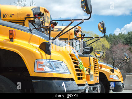 3 yellow school buses lined up in parking lot Stock Photo