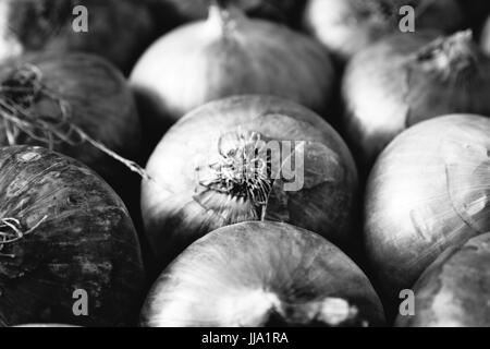 Fresh onions on display at a nearby market. Stock Photo