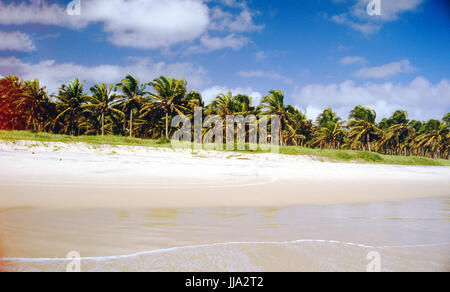 Praia do Francês, Alagoas, Brazil Stock Photo