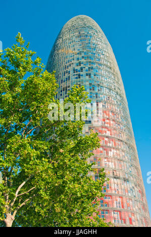 modern Torre Agbar skyscraper in Poblenou district and green tree against clear blue sky, Barcelona, Catalonia, Spain Stock Photo