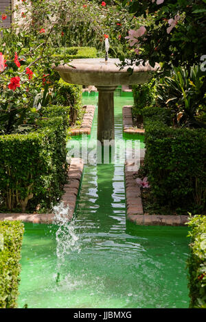 MALAGA, ANDALUCIA/SPAIN - JULY 5 : View of the Gardens outside the Cathedral in Malaga Costa del Sol Spain on July 5, 2017 Stock Photo