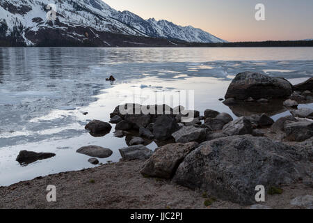 The frozen waters of Jenny Lake thawing out from winter below the Teton Mountains. Grand Teton National Park, Wyoming Stock Photo