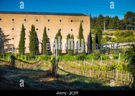 vineyard Bodegas Irache, Navarra, Spain, Camino de Santiago. Stock Photo
