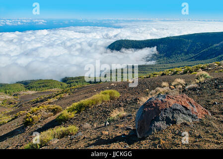 view of thick clouds covering mountain forest in El Teide national park, Tenerife Stock Photo