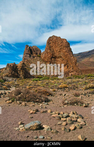 view of rock and plants in el teide national park, tenerife Stock Photo