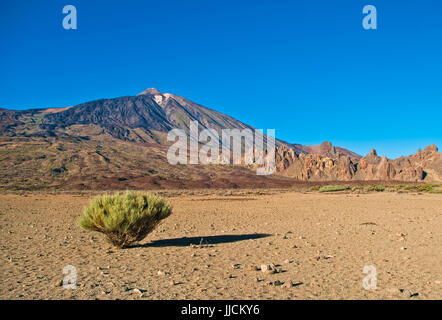 view of el teide national park, tenerife, canary islands Stock Photo