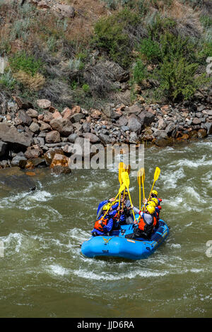 White water rafting on Arkansas River, near Canon City, Colorado USA Stock Photo