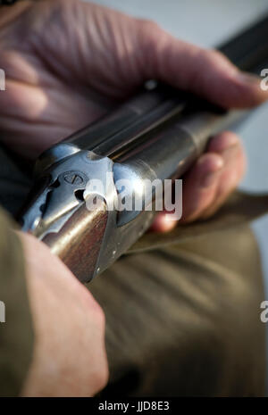 old mans hands holding  doubl barrelled shotgun Stock Photo