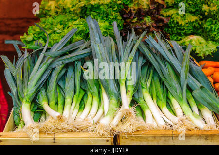 Leek on sale in a French market in Dijon, Burgundy, France Stock Photo