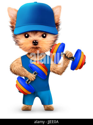 Funny dog training with dumbbell in sport gym. Concept of sport and fitness. Realistic 3D illustration. Stock Photo