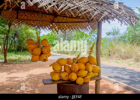 King Coconuts Are Displayed For Sell On Small Roadside Stall In Sigiriya. Stock Photo