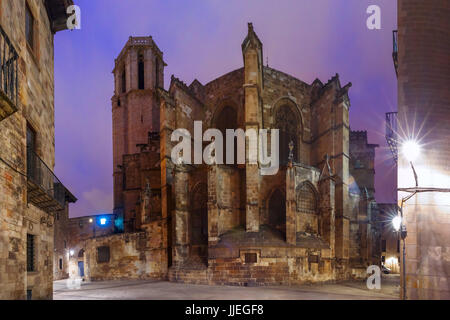 Barcelona Cathedral at night, Spain Stock Photo