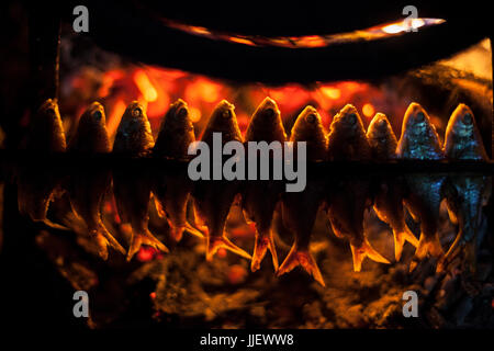 Small fish are grilled on a bamboo skewer over an open fire at a home in Ban Kor Man Mai, Laos. Stock Photo