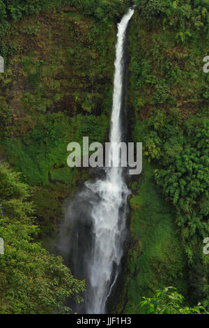 Landscape of Tad Fan waterfall Stock Photo