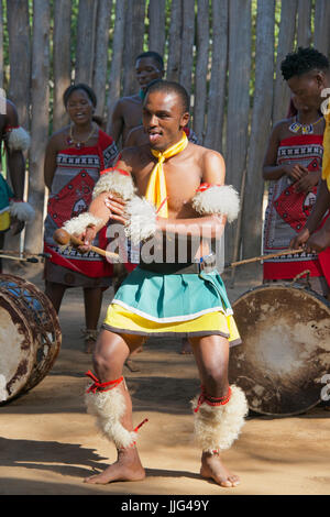 Tribal man performing traditional dance Mantenga Cultural Village ...