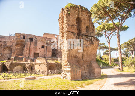 Domus Augustana, imperial palace built by the emperor Domitian (51-96) on the Palatine Hill Rome, Lazio, Italy, Europe Stock Photo